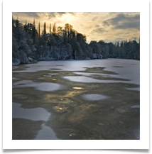 GOLDEN ICE - Des Hawley